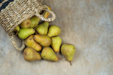 Ahşap bir arka planda sepetteki armutlar. Meyve hasadı. Sonbahar hala hayattır. Armut çeşitliliğinde Bera Konferansı. Vitamin yiyeceği..