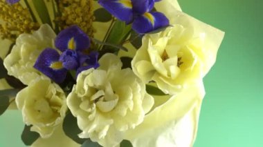 Spring bouquet of flowers. Irises, tulips, mimosa and eucalyptus. Yellow and blue flower. Bud close-up. Floral background. Purple iris, white double tulip. Gift. March mood.