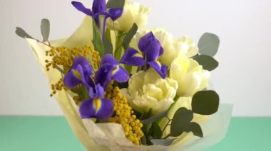 Spring bouquet of flowers. Irises, tulips, mimosa and eucalyptus. Yellow and blue flower. Bud close-up. Floral background. Purple iris, white double tulip. Gift. March mood.