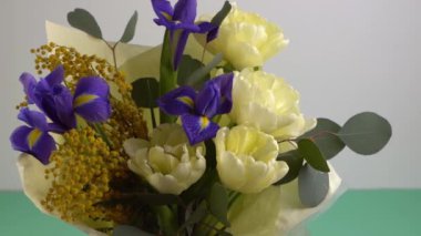 Spring bouquet of flowers. Irises, tulips, mimosa and eucalyptus. Yellow and blue flower. Bud close-up. Floral background. Purple iris, white double tulip. Gift. March mood.