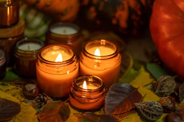 Soya mumları cam kavanozlarda yanar. Ağaç yaprakları, balkabağım. Evdeki rahatlık. Kahverengi kavanozdaki mum. Koku ve ışık. Kokulu el yapımı mum. Aroma terapisi. Sonbahar havası. Sonbaharda rahat ev dekorasyonu.