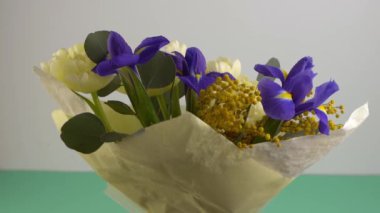 Bahar çiçekleri. İris, lale, mimoza ve okaliptüs. Sarı ve mavi çiçek. Bud 'ın yakın çekimi. Çiçek arkaplan. Mor iris, beyaz çift lale. Hediye. Mart havası.