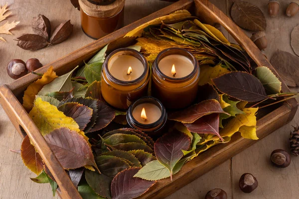 stock image Soy candles burn in glass jars. Tree leaves. Comfort at home. Candle in a brown jar. Scent and light. Scented handmade candle. Aroma therapy. Autumn mood. Cozy home decor in fall. Festive decoration.