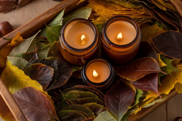 Soy Candles Burn Glass Jars Tree Leaves Comfort Home Candle — Stock Photo, Image