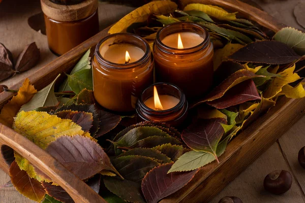 Soy Candles Burn Glass Jars Tree Leaves Comfort Home Candle — Stock Photo, Image