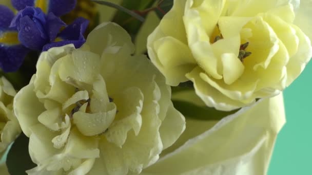 Весенний Букет Цветов Ирисы Тюльпаны Мимоза Эвкалипт Желтый Синий Цветок — стоковое видео