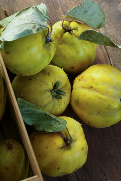 Quince Gyümölcs Csendélet Fából Készült Háttérrel Érett Birsalma Gyümölcs Vitaminok — Stock Fotó