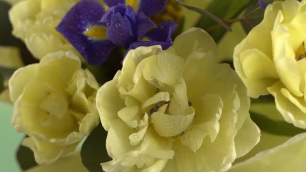Spring Bouquet Flowers Irises Tulips Mimosa Eucalyptus Yellow Blue Flower — Vídeo de Stock