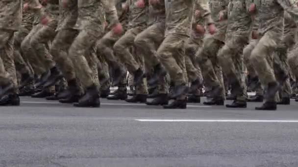 多くの足が一列に並ぶ 軍の制服 パレードに行進する兵士の会社 兵士のブーツ ピクセル形状保護カーキ服 男は行進する 空挺部隊だ 軍集団だ フォースマン — ストック動画