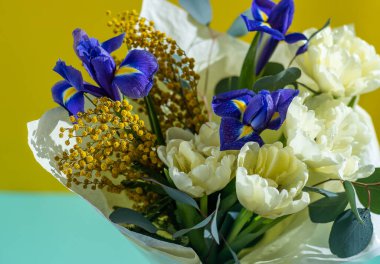Spring bouquet of flowers. Irises, tulips, mimosa and eucalyptus. Yellow and blue flower. Bud close-up. Floral background. Purple iris, white double tulip. Gift. March mood.