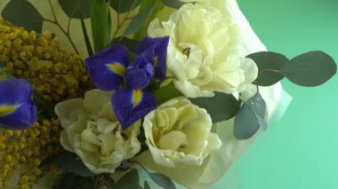 Spring bouquet of flowers. Irises, tulips, mimosa and eucalyptus. Yellow and blue flower. Bud close-up. Floral background. Purple iris, white double tulip. Gift. March mood.