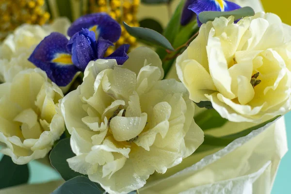 Ανοιξιάτικο Μπουκέτο Λουλούδια Ίριδες Τουλίπες Μιμόζα Και Ευκάλυπτος Κίτρινο Και — Φωτογραφία Αρχείου