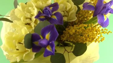 Spring bouquet of flowers. Irises, tulips, mimosa and eucalyptus. Yellow and blue flower. Bud close-up. Floral background. Purple iris, white double tulip. Gift. March mood.