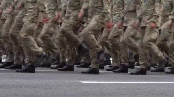 Militares Marchando Desfile Soldados Piernas Botas Las Fuerzas Soldados Infantería — Vídeo de stock