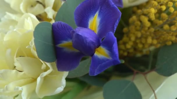 Ανοιξιάτικο Μπουκέτο Λουλούδια Ίριδες Τουλίπες Μιμόζα Και Ευκάλυπτος Κίτρινο Και — Αρχείο Βίντεο