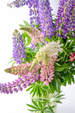 Sepette bir buket lupin. Çok renkli yaz çiçekleri gri arka planda pembe ve mor renkte. Lupine çiçek tomurcukları. Yaz çiçekli arka plan.