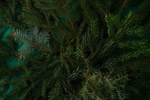 Χριστουγεννιάτικο Δέντρο Φύση Πράσινο Φόντο Κλαδιά Πεύκου Βελόνες Στην Κορυφή — Φωτογραφία Αρχείου