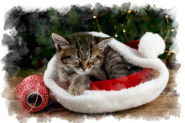 Boże Narodzenie Kot Akwarela Ilustracja Słodki Kotek Czerwonym Kapeluszu Mikołaja — Zdjęcie stockowe