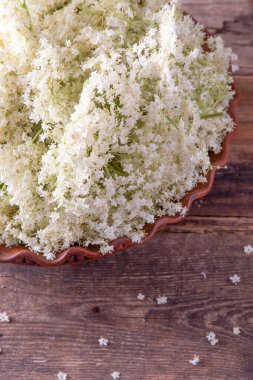 Yaşlı çiçekler. Beyaz çiçek çalısı. Şurup ve içecek yapmak için tomurcuk topluyorum. Masadaki bir kasede yemek ve yemek. Sambucus bitkisi