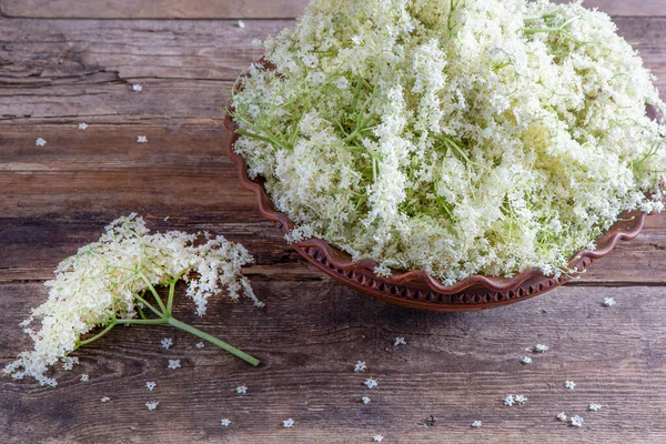 長老の花 白い花の低木 シロップや飲み物を作るための芽を収穫します テーブルの上のボウルで料理や食べ物 サンブカス植物 — ストック写真