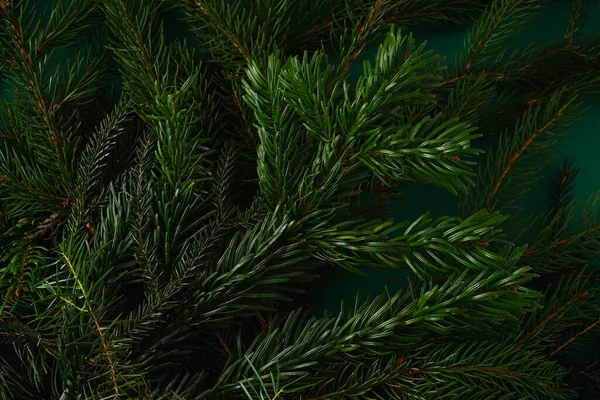 Árvore Natal Natureza Fundo Verde Ramos Pinheiro Agulhas Vista Superior — Fotografia de Stock