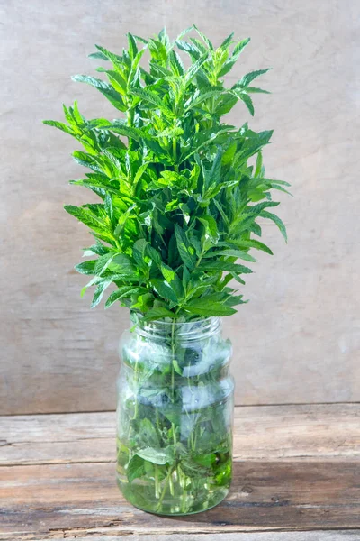 Egy Csokor Mentát Zöld Friss Levelek Váza Asztalon Virágos Háttér — Stock Fotó