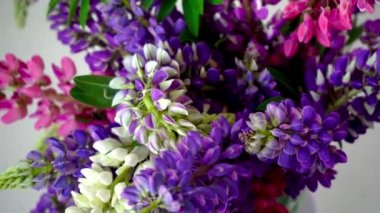 Bir buket lupin. Çok renkli yaz çiçekleri gri arka planda pembe ve mor renkte. Lupine çiçek tomurcukları. Yaz çiçekli arka plan.