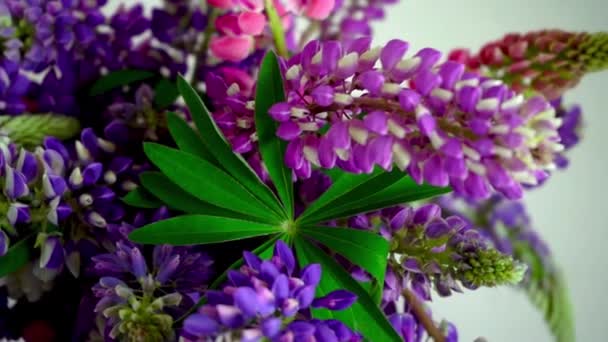 一束丁香花 五彩斑斓的夏季花朵 粉色和紫色 灰色背景 丁香花蕾 夏季花卉背景 — 图库视频影像