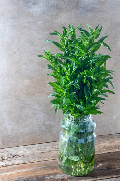 Bouquet Mint Green Fresh Leaves Vase Table Floral Background Botanical — Stock Photo, Image