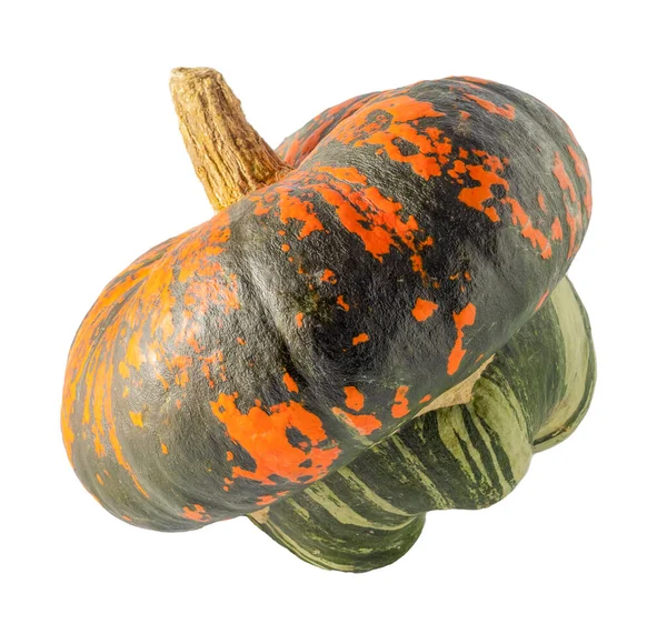 Pumpkin Isolated White Background Variety Turkish Turban Orange Green Gray — Stockfoto