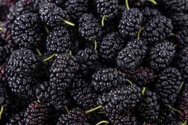 Bir kasede dut. Yazın böğürtlen hasadı. Meyveli siyah gıda arka planı. Dut yapraklı yeşil dal. Yaprak masanın üstünde..