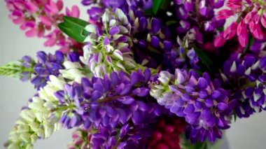 Bir buket lupin. Çok renkli yaz çiçekleri gri arka planda pembe ve mor renkte. Lupine çiçek tomurcukları. Yaz çiçekli arka plan.