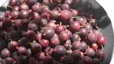 Masadaki bektaşi üzümleri. Vitamin yaz yemeği. Böğürtlen hasadı manzaralı. Beyaz arka planda pembe böğürtlenler.