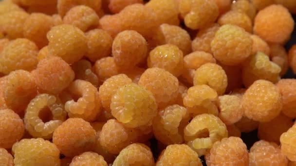 Framboesas Amarelas Prato Mesa Fundo Bagas Verão Comida Vitamina Colheita — Vídeo de Stock