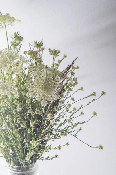 白い背景に白い花の花束 ワイルドキャロットとヤロー シンプルな夏の花 自然のフローラ美学 ピーター バッド フローラル植物学 ミニマルスタイル — ストック写真
