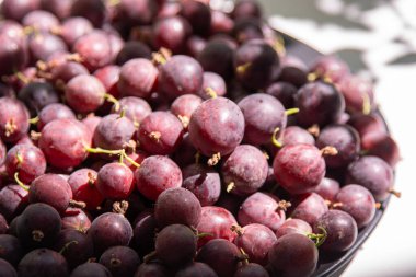 Masadaki bektaşi üzümleri. Vitamin yaz yemeği. Böğürtlen hasadı manzaralı. Beyaz arka planda pembe böğürtlenler.