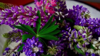 Bir buket lupin. Çok renkli yaz çiçekleri gri arka planda pembe ve mor renkte. Lupine çiçek tomurcukları. Yaz çiçekli arka plan.