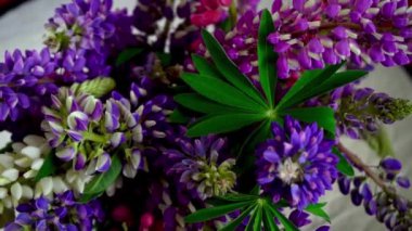 Bir buket lupin. Çok renkli yaz çiçekleri gri arka planda pembe ve mor renkte. Lupine çiçek tomurcukları. Yaz çiçekli arka plan.