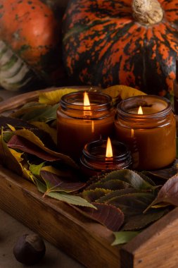 Soya mumları cam kavanozlarda yanar. Ağaç yaprakları, balkabağım. Evdeki rahatlık. Kahverengi kavanozdaki mum. Koku ve ışık. Kokulu el yapımı mum. Aroma terapisi. Sonbahar havası. Sonbaharda rahat ev dekorasyonu.