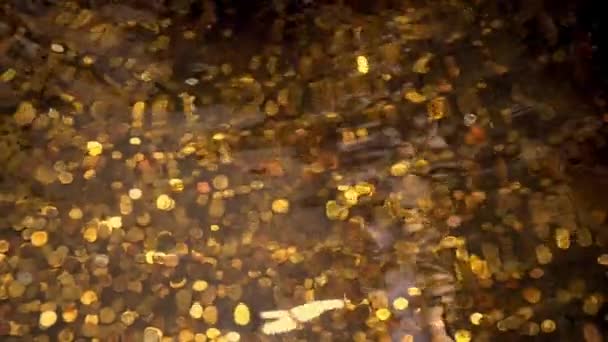 海底にある宝物 ゴールドコインが水面下に 噴水にはたくさんのコインがあります 波と揺れる水の動き コインマネー — ストック動画