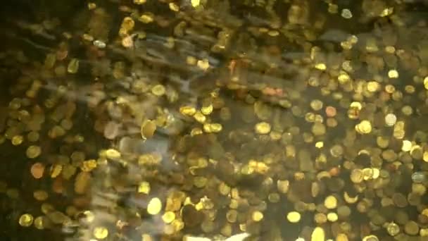 Okyanusun Dibindeki Hazineler Altında Altın Sikkeler Çeşmede Bir Sürü Bozuk — Stok video