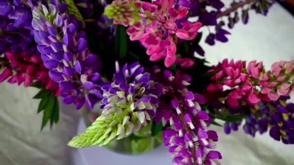 一束丁香花 五彩斑斓的夏季花朵 粉色和紫色 灰色背景 丁香花蕾 夏季花卉背景 — 图库视频影像