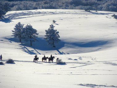 Dağın tepesindeki kış manzarası. Karda ağaçlar. Doğa geçmişi. Kuzey Kutbu Ormanı. At yürüyüşü. Noel seyahati