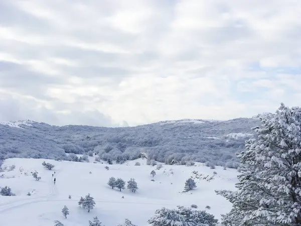 Зимний Пейзаж Вершине Горы Деревья Снегу Природа Северный Полюс — стоковое фото