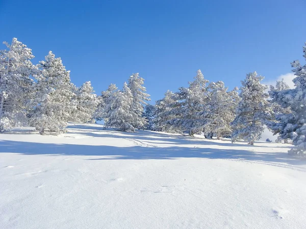 Winter Landscape Top Mountain Trees Snow Nature Background North Pole — Stock Photo, Image