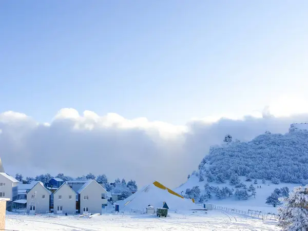 Winterlandschaft Auf Dem Gipfel Des Berges Bäume Schnee Natur Hintergrund — Stockfoto