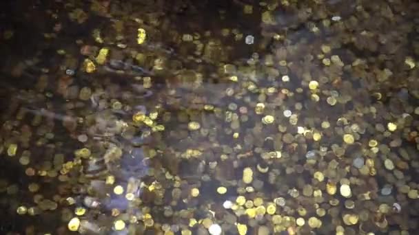 Poklady Dně Oceánu Zlaté Mince Pod Vodou Fontáně Spousta Mincí — Stock video