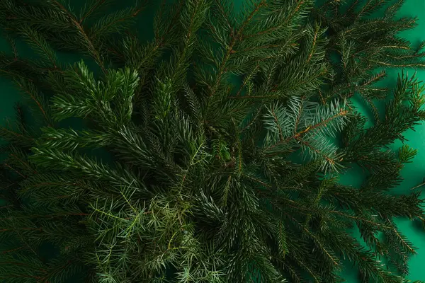 Árbol Navidad Naturaleza Fondo Verde Ramas Pino Agujas Vista Superior — Foto de Stock
