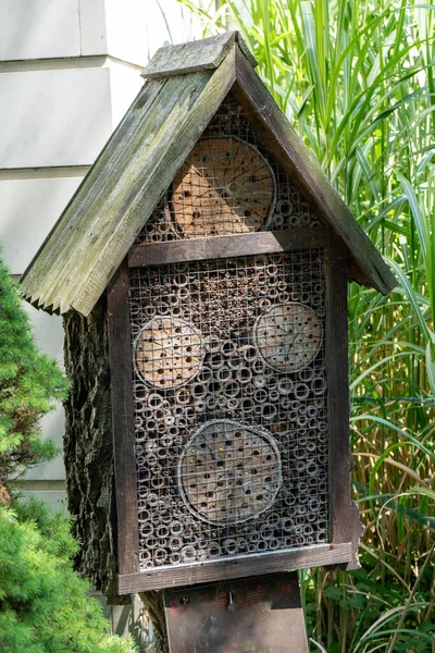 Maison Pour Insectes Une Boîte Écorce Paille Pierres Briques Cônes — Photo