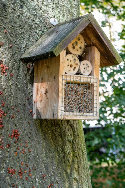 House for insects. A box made of bark, straw and stones. Bricks, cones and bamboo for the insect to settle there. Home hotel for wild bees. Eco friendly do-it-yourself craft for a garden DIY gardening